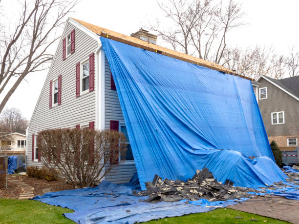 Best Fascia and Soffit Installation  in Central Gardens, TX