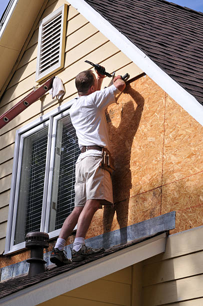 Best Insulated Siding Installation  in Central Gardens, TX